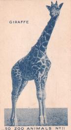 1954 Turf Zoo Animals #11 Giraffe Front
