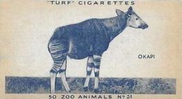 1954 Turf Zoo Animals #21 Okapi Front