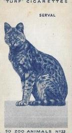 1954 Turf Zoo Animals #32 Serval Front