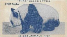 1954 Turf Zoo Animals #33 Giant Panda Front