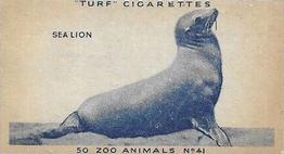 1954 Turf Zoo Animals #41 Sea Lion Front