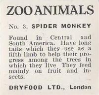 1955 Dryfood Zoo Animals #3 Spider Monkey Back
