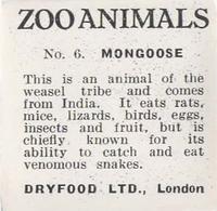1955 Dryfood Zoo Animals #6 Mongoose Back