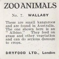1955 Dryfood Zoo Animals #7 Wallaby Back