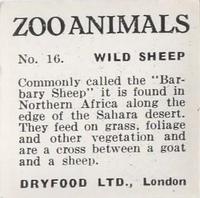 1955 Dryfood Zoo Animals #16 Wild Sheep Back