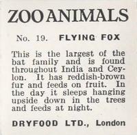 1955 Dryfood Zoo Animals #19 Flying Fox Back