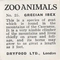 1955 Dryfood Zoo Animals #25 Grecian Ibex Back