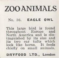 1955 Dryfood Zoo Animals #36 Eagle Owl Back