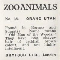 1955 Dryfood Zoo Animals #38 Orangutan Back