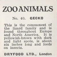 1955 Dryfood Zoo Animals #40 Gecko Back