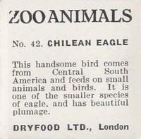 1955 Dryfood Zoo Animals #42 Chilean Eagle Back