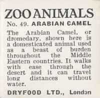 1955 Dryfood Zoo Animals #49 Arabian Camel Back