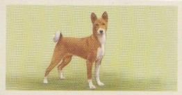 1957 Priory Tea I-Spy Dogs #9 Basenji Front