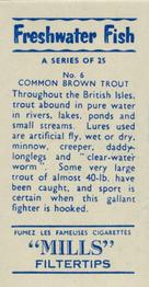 1958 Mills Freshwater Fish #6 Common Brown Trout Back