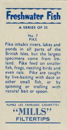 1958 Mills Freshwater Fish #7 Pike Back