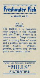 1958 Mills Freshwater Fish #12 Barbel Back
