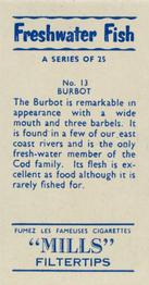 1958 Mills Freshwater Fish #13 Burbot Back