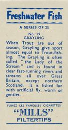 1958 Mills Freshwater Fish #19 Grayling Back