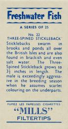 1958 Mills Freshwater Fish #22 Three-Spined Stickleback Back