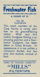1958 Mills Freshwater Fish #24 Gudgeon Back