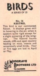 1961 Musgrave Brothers Tea Birds #16 Kestrel Back