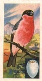 1961 Musgrave Brothers Tea Birds #19 Bullfinch Front