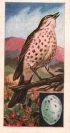 1961 Musgrave Brothers Tea Birds #21 Song Thrush Front