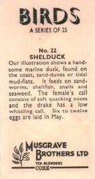 1961 Musgrave Brothers Tea Birds #22 Shelduck Back