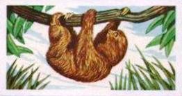 1961 Robert R. Miranda Strange Creatures #5 Sloth Front