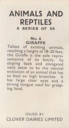 1966 Clover Dairies Animals & Reptiles #6 Giraffe Back