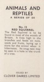 1966 Clover Dairies Animals & Reptiles #12 Red Squirrel Back