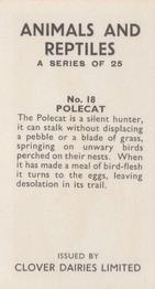 1966 Clover Dairies Animals & Reptiles #18 Polecat Back