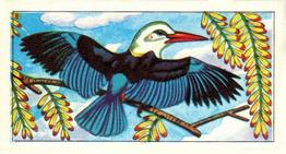 1966 Browne's Tea Tropical Birds #5 Grey-Headed King-Fisher Front