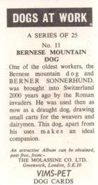 1970 VIMS Pet Food / Molassine Dogs at Work #11 Bernese Mountain Dog Back