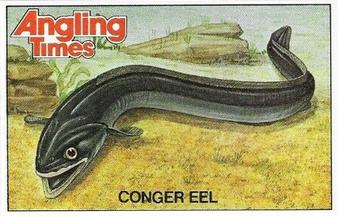 1980 Angling Times Collect-a-Card Series 4 (Sea Fish) #4 Conger Eel Front