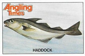 1980 Angling Times Collect-a-Card Series 4 (Sea Fish) #6 Haddock Front