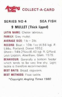 1980 Angling Times Collect-a-Card Series 4 (Sea Fish) #9 Mullet (Thick lipped) Back