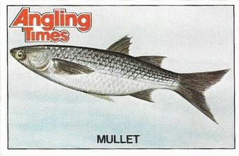 1980 Angling Times Collect-a-Card Series 4 (Sea Fish) #9 Mullet (Thick lipped) Front