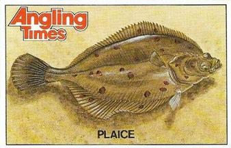 1980 Angling Times Collect-a-Card Series 4 (Sea Fish) #10 Plaice Front
