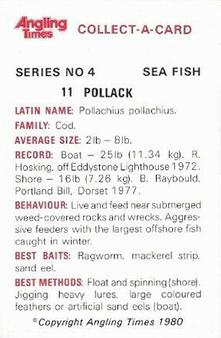 1980 Angling Times Collect-a-Card Series 4 (Sea Fish) #11 Pollack Back