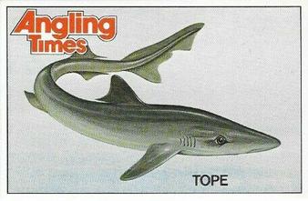 1980 Angling Times Collect-a-Card Series 4 (Sea Fish) #13 Tope Front