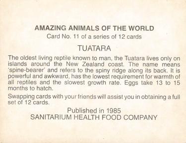 1985 Sanitarium Health Foods Amazing Animals of the World #11 Tuatara Back