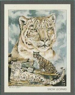 1991 Victoria Gallery Endangered Wild Animals #3 Snow Leopard / Clouded Leopard Front