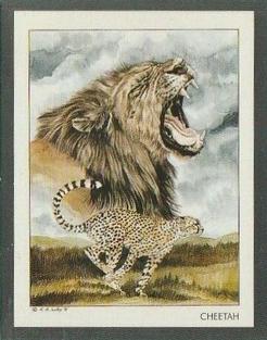 1991 Victoria Gallery Endangered Wild Animals #4 Cheetah /  Asiatic Lion Front