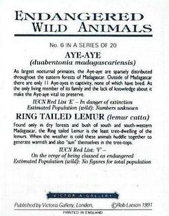 1991 Victoria Gallery Endangered Wild Animals #6 Aye-Aye / Ring Tailed Lemur Back