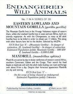 1991 Victoria Gallery Endangered Wild Animals #7 Eastern Lowland and Mountain Gorilla /  Mandrill Back