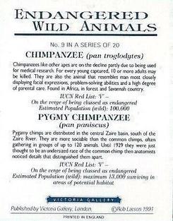 1991 Victoria Gallery Endangered Wild Animals #9 Chimpanzee / Pygmy Chimpanzee Back