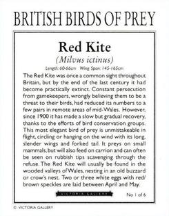 1996 Victoria Gallery British Birds of Prey Series 1 #1 Red Kite Back
