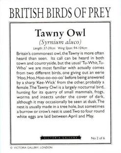 1996 Victoria Gallery British Birds of Prey Series 1 #2 Tawny Owl Back