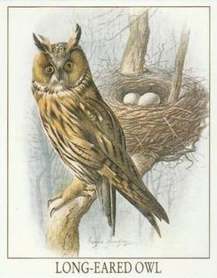 1996 Victoria Gallery British Birds of Prey Series 1 #3 Long-Eared Owl Front